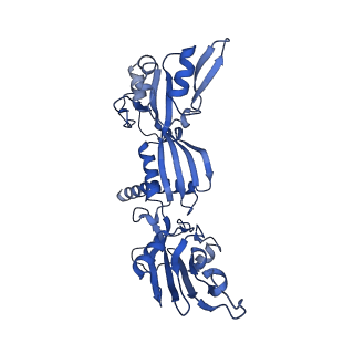 31621_7fji_C_v1-1
human Pol III elongation complex