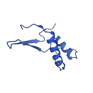31621_7fji_F_v1-1
human Pol III elongation complex