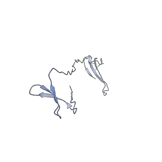 31621_7fji_I_v1-1
human Pol III elongation complex