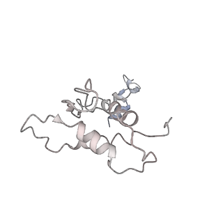 31621_7fji_P_v1-1
human Pol III elongation complex