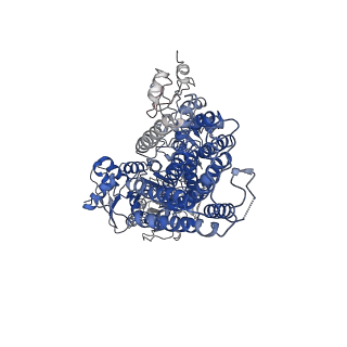 31623_7fjm_A_v1-0
Cryo EM structure of lysosomal ATPase