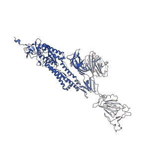 31624_7fjn_A_v1-0
Cryo-EM structure of South African (B.1.351) SARS-CoV-2 spike glycoprotein in complex with two T6 Fab
