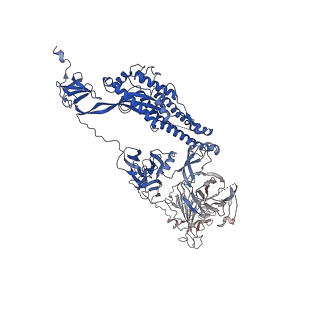 31624_7fjn_B_v1-0
Cryo-EM structure of South African (B.1.351) SARS-CoV-2 spike glycoprotein in complex with two T6 Fab