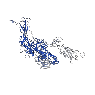 31624_7fjn_C_v1-0
Cryo-EM structure of South African (B.1.351) SARS-CoV-2 spike glycoprotein in complex with two T6 Fab