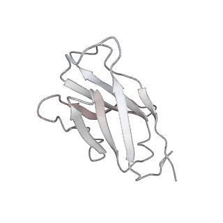 31624_7fjn_H_v1-0
Cryo-EM structure of South African (B.1.351) SARS-CoV-2 spike glycoprotein in complex with two T6 Fab