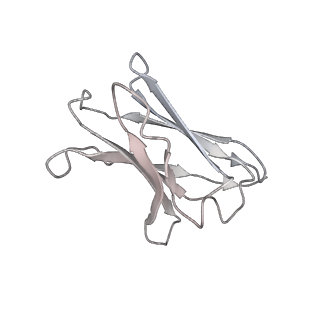 31624_7fjn_I_v1-0
Cryo-EM structure of South African (B.1.351) SARS-CoV-2 spike glycoprotein in complex with two T6 Fab