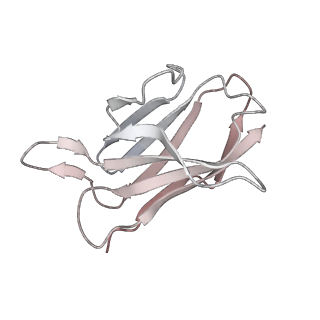 31624_7fjn_L_v1-0
Cryo-EM structure of South African (B.1.351) SARS-CoV-2 spike glycoprotein in complex with two T6 Fab