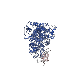 31626_7fjp_B_v1-0
Cryo EM structure of lysosomal ATPase