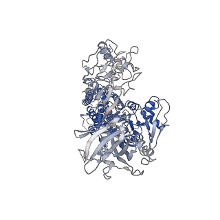 31627_7fjq_A_v1-0
Cryo EM structure of lysosomal ATPase