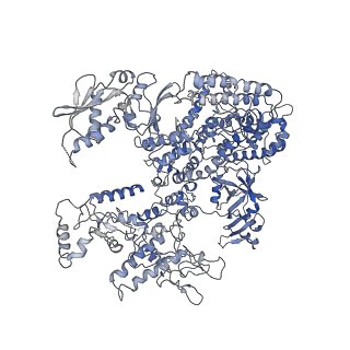 3178_5fj8_A_v1-2
Cryo-EM structure of yeast RNA polymerase III elongation complex at 3. 9 A