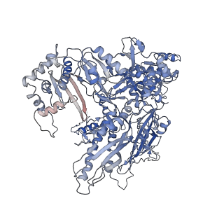 3178_5fj8_B_v1-2
Cryo-EM structure of yeast RNA polymerase III elongation complex at 3. 9 A