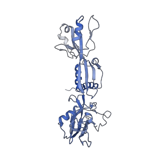 3178_5fj8_C_v1-2
Cryo-EM structure of yeast RNA polymerase III elongation complex at 3. 9 A