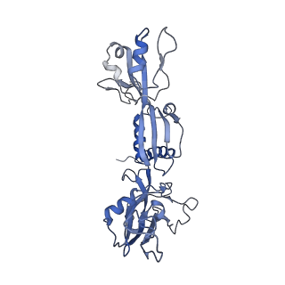 3178_5fj8_C_v2-0
Cryo-EM structure of yeast RNA polymerase III elongation complex at 3. 9 A