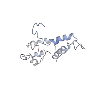 3178_5fj8_D_v1-2
Cryo-EM structure of yeast RNA polymerase III elongation complex at 3. 9 A