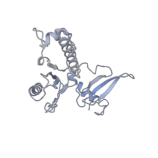 3178_5fj8_E_v1-2
Cryo-EM structure of yeast RNA polymerase III elongation complex at 3. 9 A