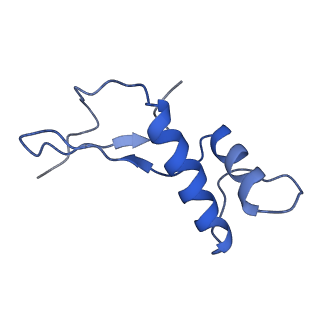 3178_5fj8_F_v1-2
Cryo-EM structure of yeast RNA polymerase III elongation complex at 3. 9 A