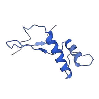 3178_5fj8_F_v2-0
Cryo-EM structure of yeast RNA polymerase III elongation complex at 3. 9 A
