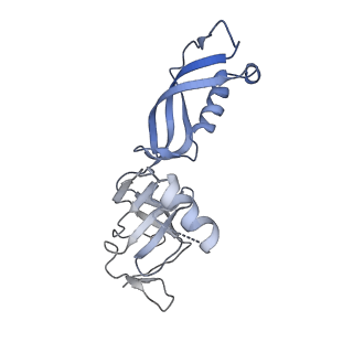 3178_5fj8_G_v1-2
Cryo-EM structure of yeast RNA polymerase III elongation complex at 3. 9 A