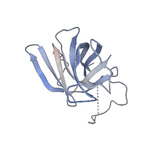 3178_5fj8_H_v1-2
Cryo-EM structure of yeast RNA polymerase III elongation complex at 3. 9 A