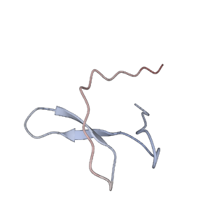 3178_5fj8_I_v1-2
Cryo-EM structure of yeast RNA polymerase III elongation complex at 3. 9 A