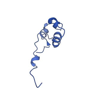 3178_5fj8_J_v1-2
Cryo-EM structure of yeast RNA polymerase III elongation complex at 3. 9 A
