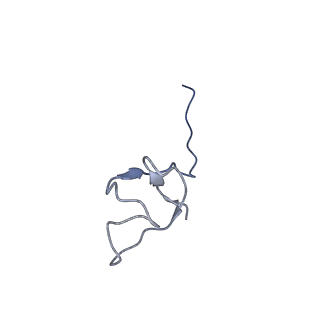 3178_5fj8_L_v1-2
Cryo-EM structure of yeast RNA polymerase III elongation complex at 3. 9 A