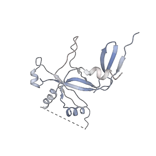 3178_5fj8_M_v1-2
Cryo-EM structure of yeast RNA polymerase III elongation complex at 3. 9 A