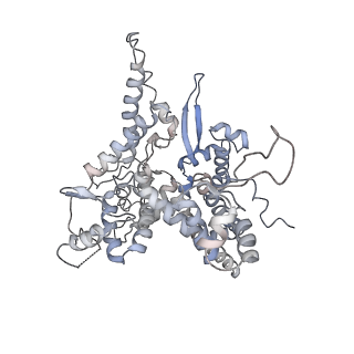 3178_5fj8_O_v1-2
Cryo-EM structure of yeast RNA polymerase III elongation complex at 3. 9 A