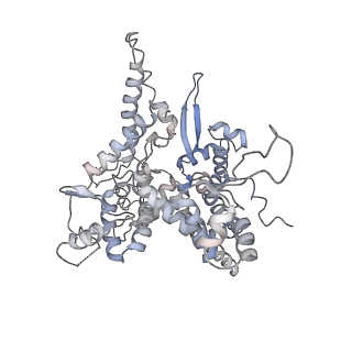 3178_5fj8_O_v2-0
Cryo-EM structure of yeast RNA polymerase III elongation complex at 3. 9 A