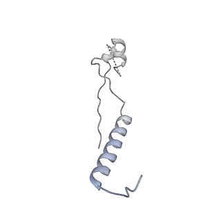3178_5fj8_Q_v1-2
Cryo-EM structure of yeast RNA polymerase III elongation complex at 3. 9 A