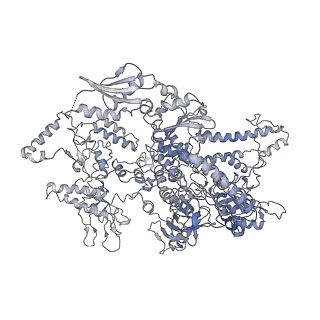 3179_5fj9_A_v1-4
Cryo-EM structure of yeast apo RNA polymerase III at 4.6 A
