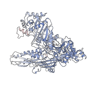 3179_5fj9_B_v1-4
Cryo-EM structure of yeast apo RNA polymerase III at 4.6 A