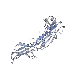 3179_5fj9_C_v1-4
Cryo-EM structure of yeast apo RNA polymerase III at 4.6 A
