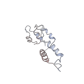 3179_5fj9_D_v1-4
Cryo-EM structure of yeast apo RNA polymerase III at 4.6 A