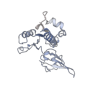 3179_5fj9_E_v1-4
Cryo-EM structure of yeast apo RNA polymerase III at 4.6 A