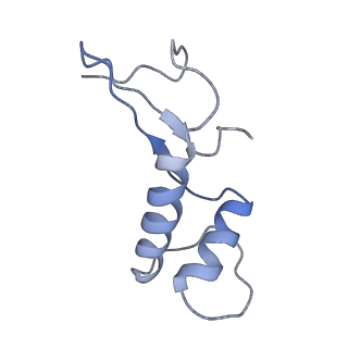 3179_5fj9_F_v1-4
Cryo-EM structure of yeast apo RNA polymerase III at 4.6 A