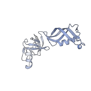 3179_5fj9_G_v1-4
Cryo-EM structure of yeast apo RNA polymerase III at 4.6 A
