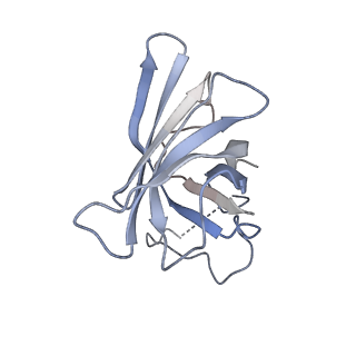 3179_5fj9_H_v1-4
Cryo-EM structure of yeast apo RNA polymerase III at 4.6 A