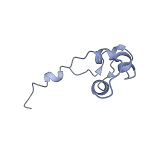 3179_5fj9_J_v1-4
Cryo-EM structure of yeast apo RNA polymerase III at 4.6 A