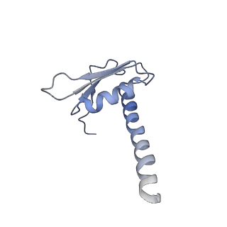 3179_5fj9_K_v1-4
Cryo-EM structure of yeast apo RNA polymerase III at 4.6 A