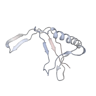 3179_5fj9_N_v1-4
Cryo-EM structure of yeast apo RNA polymerase III at 4.6 A