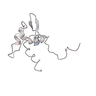 3179_5fj9_P_v1-4
Cryo-EM structure of yeast apo RNA polymerase III at 4.6 A