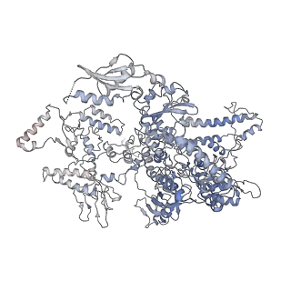 3180_5fja_A_v1-3
Cryo-EM structure of yeast RNA polymerase III at 4.7 A