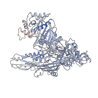 3180_5fja_B_v1-3
Cryo-EM structure of yeast RNA polymerase III at 4.7 A