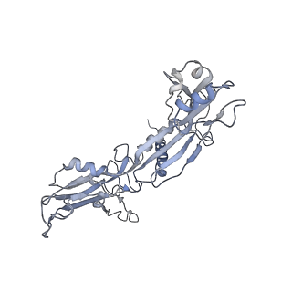 3180_5fja_C_v1-3
Cryo-EM structure of yeast RNA polymerase III at 4.7 A
