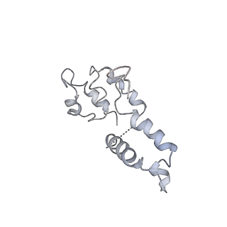3180_5fja_D_v1-3
Cryo-EM structure of yeast RNA polymerase III at 4.7 A