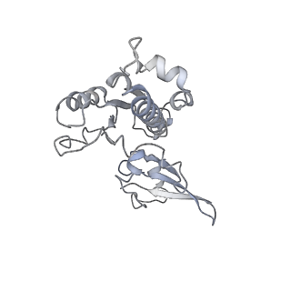 3180_5fja_E_v1-3
Cryo-EM structure of yeast RNA polymerase III at 4.7 A