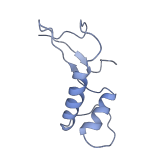 3180_5fja_F_v1-3
Cryo-EM structure of yeast RNA polymerase III at 4.7 A
