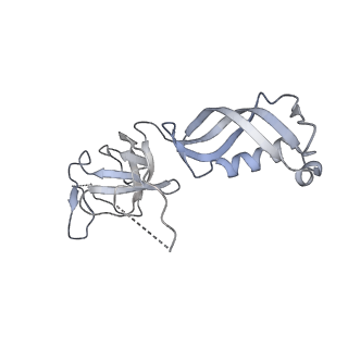 3180_5fja_G_v1-3
Cryo-EM structure of yeast RNA polymerase III at 4.7 A