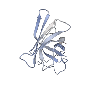 3180_5fja_H_v1-3
Cryo-EM structure of yeast RNA polymerase III at 4.7 A